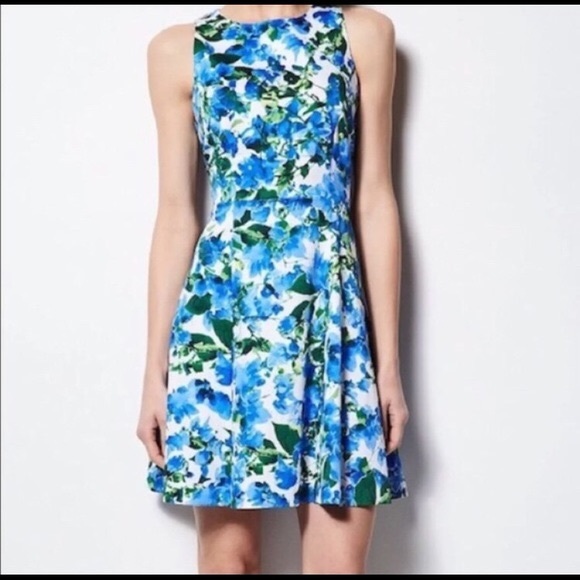 Milly Dresses & Skirts - Milly Fit & Flare Blue Floral Dress